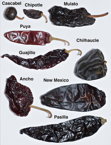 Dried Chile Tasting